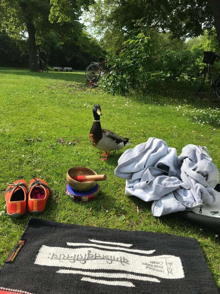 A duck coming by and checking out the Yoga mat of the Yogateacher with singing bowl