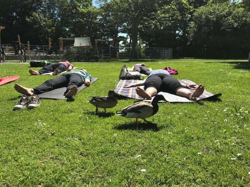 Die Enten besuchen regelmäßig unsere Yogastunden am Fasaneriesee 